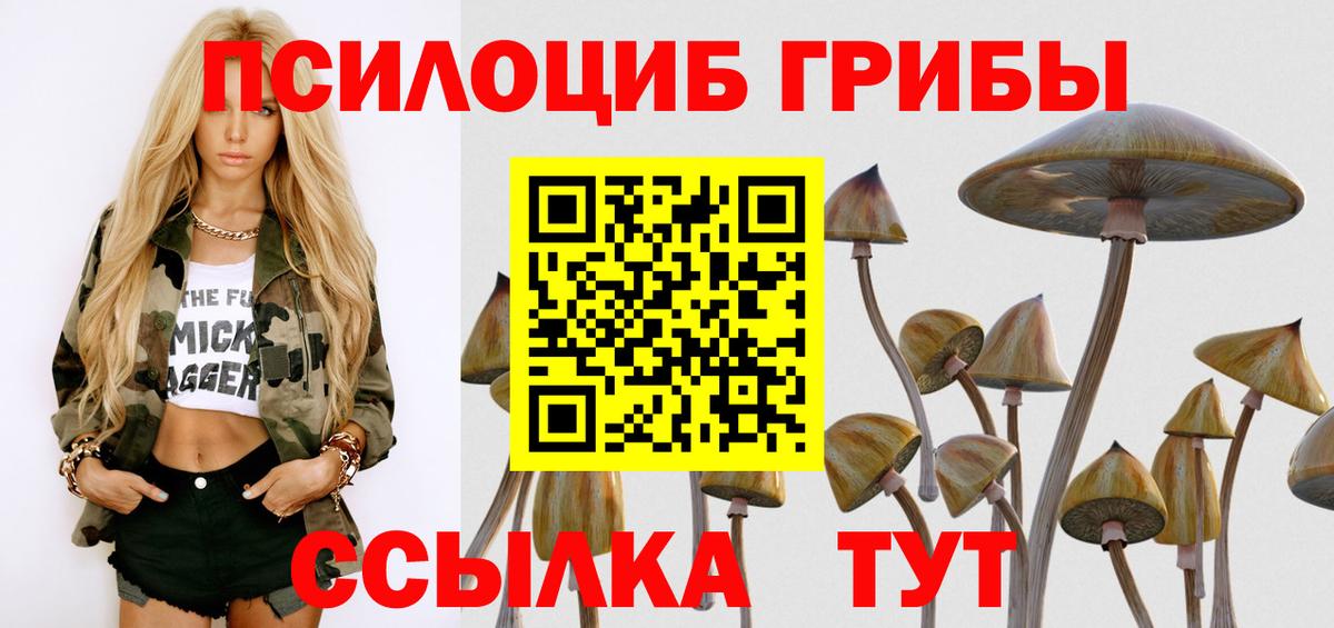 Мытищи  Галлюциногенные грибы Psilocybe  Вход с VPN 